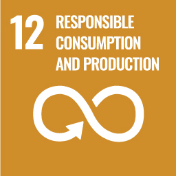 Home 2 Tuneel-Drilling-SDG-12--Responsible-Consumption-and-Production